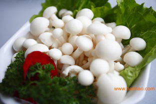 全國高性價比菌菇批發(fā)市場及產(chǎn)業(yè)鏈指南 從產(chǎn)地到回收價格解析