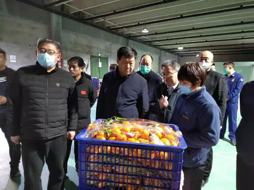 張勝明副市長赴濟寧蔬菜批發(fā)市場調(diào)研 筑牢食品安全防線，守護百姓“菜籃子”安全